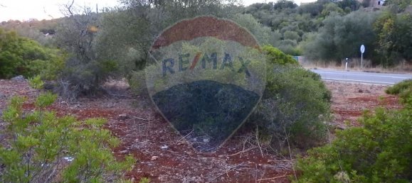 24480m² Land in Sao Bartolomeu de Messines, Portugal No. 38132 6