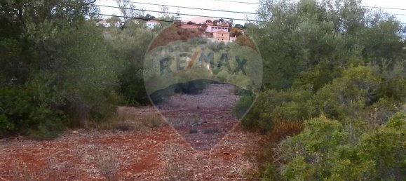 24480m² Land in Sao Bartolomeu de Messines, Portugal No. 38132 9