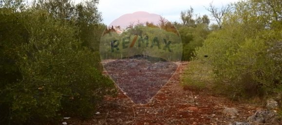 24480m² Land in Sao Bartolomeu de Messines, Portugal No. 38132 8