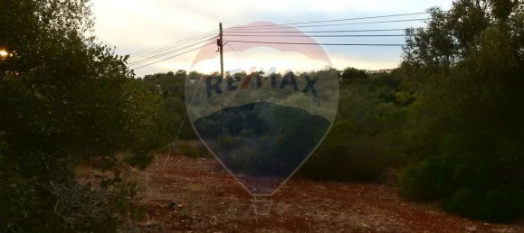 24480m² Land in Sao Bartolomeu de Messines, Portugal No. 38132 2