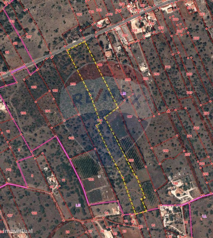 24480m² Land in Sao Bartolomeu de Messines, Portugal No. 38132