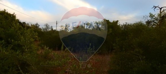 24480m² Land in Sao Bartolomeu de Messines, Portugal No. 38132 3