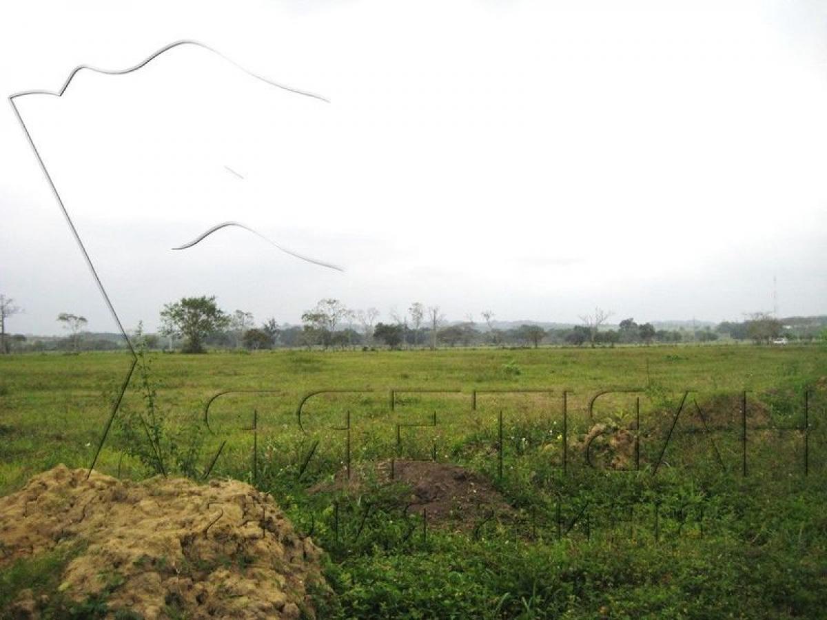  Land in Veracruz, Mexico No. 202927