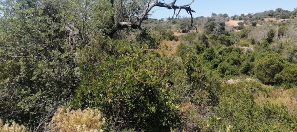 Grundstück in Loule, Portugal 5400m², Nr. 211496 6