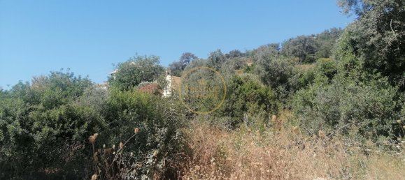 Grundstück in Loule, Portugal 5400m², Nr. 211496 5