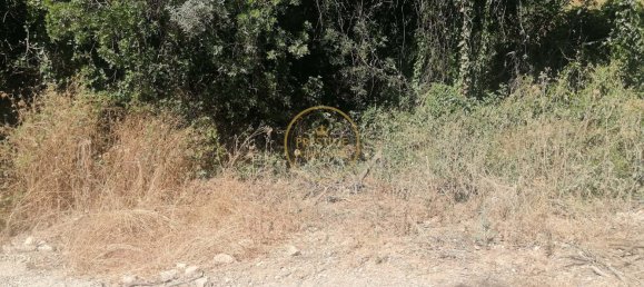 Grundstück in Loule, Portugal 5400m², Nr. 211496 8