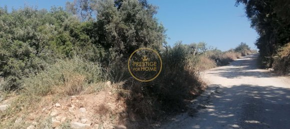 Grundstück in Loule, Portugal 5400m², Nr. 211496 7