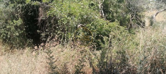 Grundstück in Loule, Portugal 5400m², Nr. 211496 9