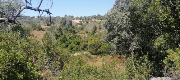 Grundstück in Loule, Portugal 5400m², Nr. 211496 10