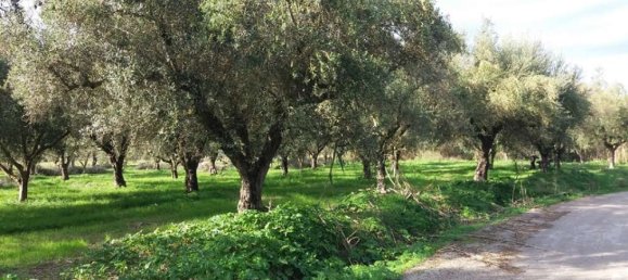  قطعة أرض في Zakynthos, Greece رقم 799 12