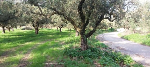  قطعة أرض في Zakynthos, Greece رقم 799 10