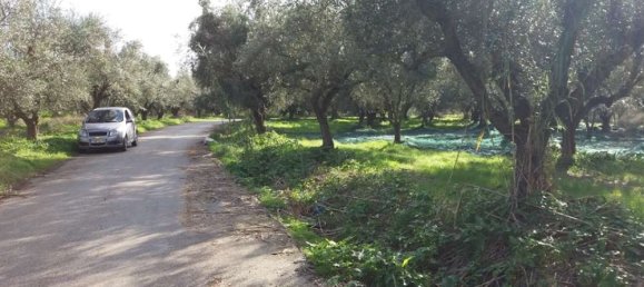  قطعة أرض في Zakynthos, Greece رقم 799 5