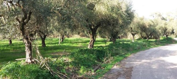  قطعة أرض في Zakynthos, Greece رقم 799 13