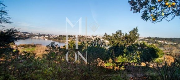 5 bedrooms Castles in Avintes, Portugal No. 41608 9