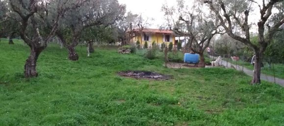 2 dormitorios сasa en venta en Zakynthos, Ionian Islands, Peloponnese, Western Greece and the Ionian, Greece № 534 6