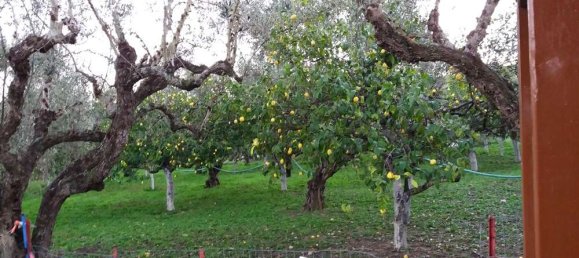 2 bedrooms Commercial property in Zakynthos, Greece No. 534 22