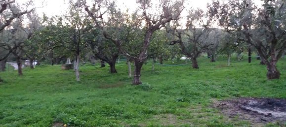 2 bedrooms Commercial property in Zakynthos, Greece No. 534 9