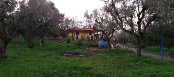 2 dormitorios сasa en venta en Zakynthos, Ionian Islands, Peloponnese, Western Greece and the Ionian, Greece № 534 21
