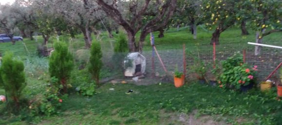 2 dormitorios сasa en venta en Zakynthos, Ionian Islands, Peloponnese, Western Greece and the Ionian, Greece № 534 7