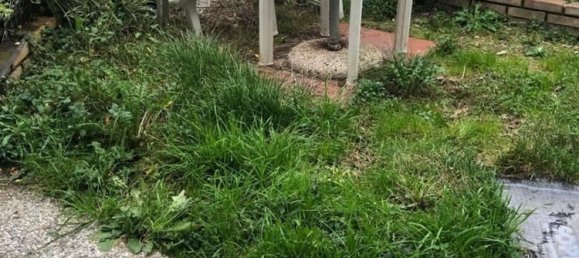 2 rooms House in Sarzana, Italy No. 172924 2