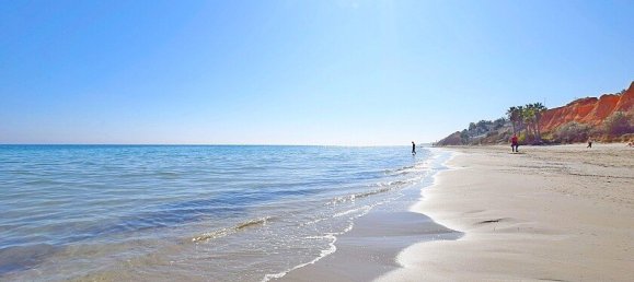 4 bedrooms Villa in Dehesa De Campoamor, Spain No. 14565 2