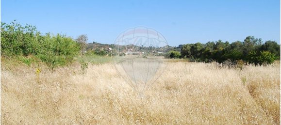 Terrain à Sao Bartolomeu de Messines, Portugal 4140m² No. 38995 3
