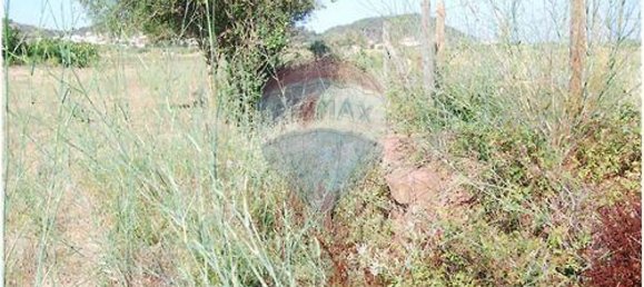 Terrain à Sao Bartolomeu de Messines, Portugal 4140m² No. 38995 16