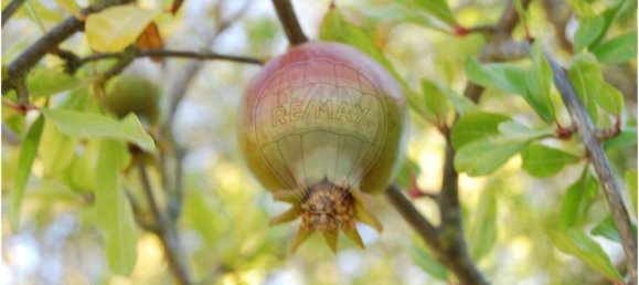 Terrain à Sao Bartolomeu de Messines, Portugal 4140m² No. 38995 9