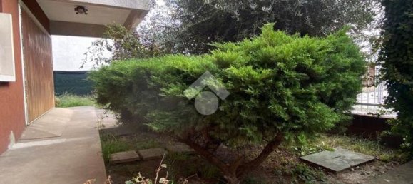 9-Zimmer Villa in Cavarzere, Italy, Nr. 157551 19