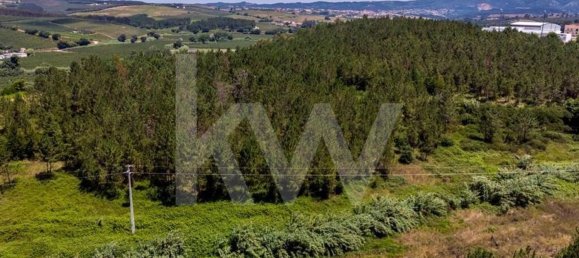 9 غرف نوم منزل في Cadaval, Portugal رقم 67673 41