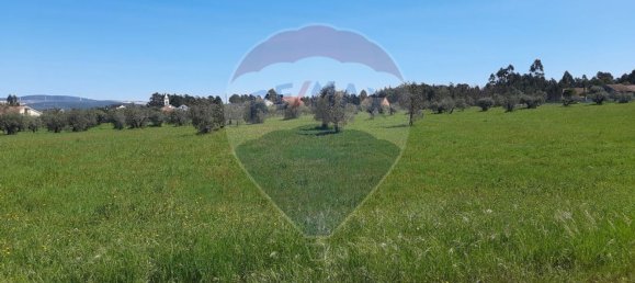 Дом с 4 спальнями в Помбал, Португалия № 183754 9