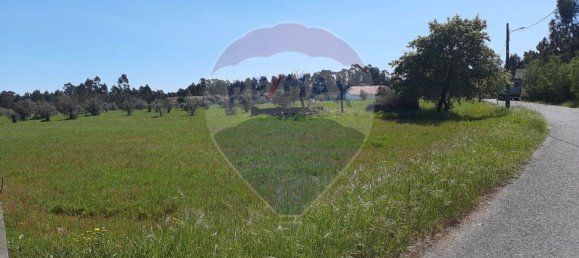 Дом с 4 спальнями в Помбал, Португалия № 183754 4