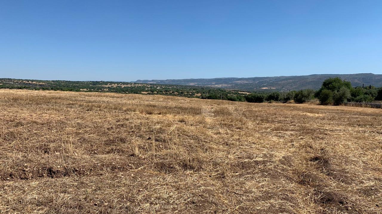 Terrain à Noto, Italy 269625m² No. 234916