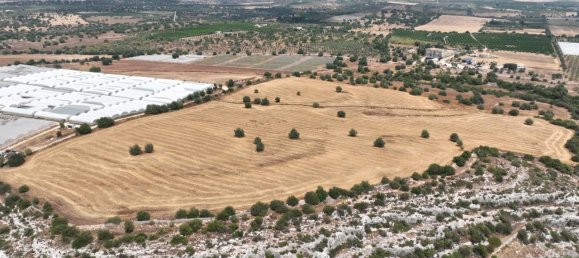 Terrain à Noto, Italy 269625m² No. 234916 15