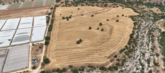 Terrain à Noto, Italy 269625m² No. 234916 12