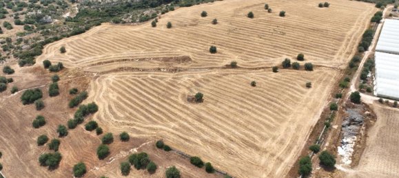 Terrain à Noto, Italy 269625m² No. 234916 14