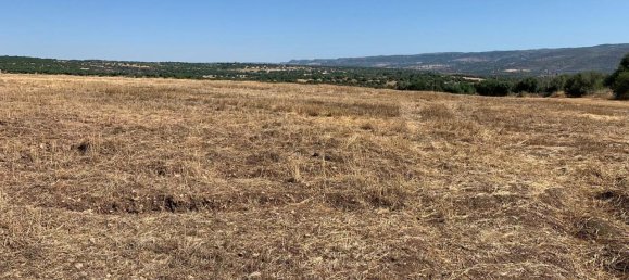 Terrain à Noto, Italy 269625m² No. 234916 9