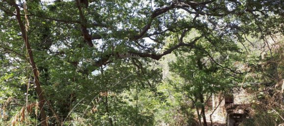 3 rooms House in Massignano, Italy No. 65220 7