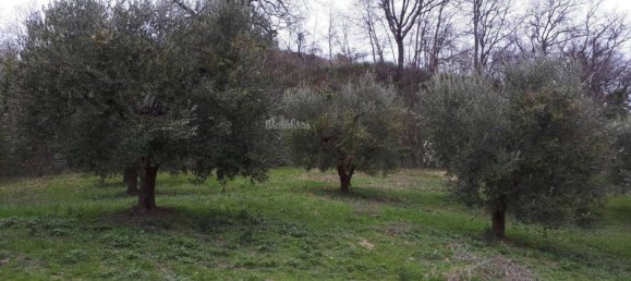 3 rooms House in Massignano, Italy No. 65220 12