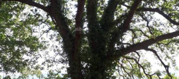 3 rooms House in Massignano, Italy No. 65220 8