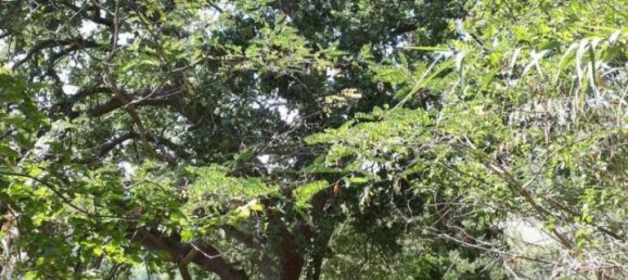 3 rooms House in Massignano, Italy No. 65220 9