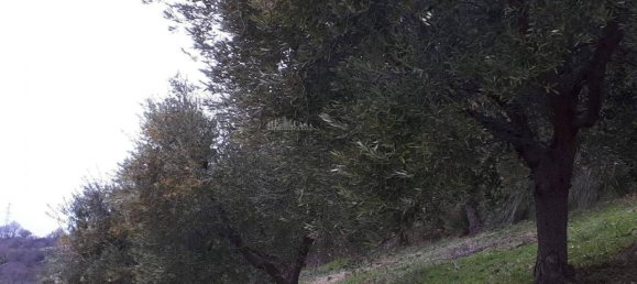 3 rooms House in Massignano, Italy No. 65220 10