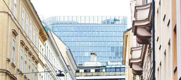 3غرفة شقة في Wieden, Austria رقم 230621 4