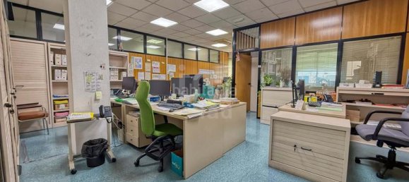 Здание 8738м² в Кастельон-де-ла-Плана, Испания № 135878 9