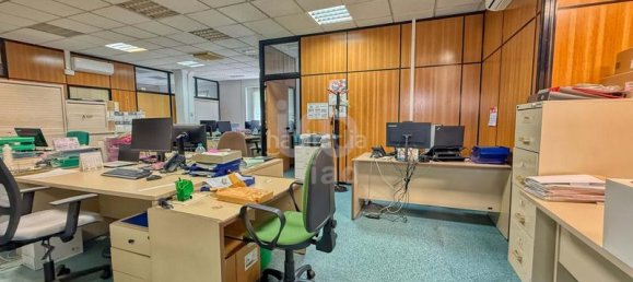 Здание 8738м² в Кастельон-де-ла-Плана, Испания № 135878 28