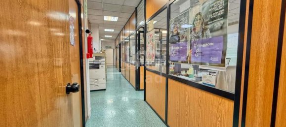 Здание 8738м² в Кастельон-де-ла-Плана, Испания № 135878 19