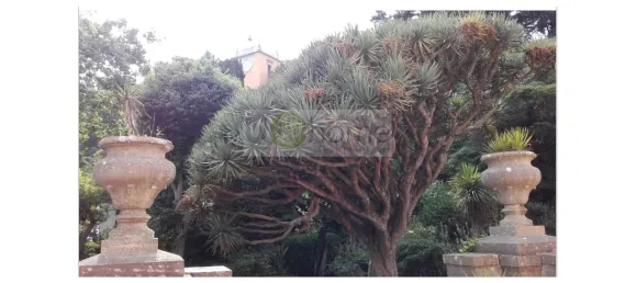 30 bedrooms Castles in Oeiras, Portugal No. 106068 6