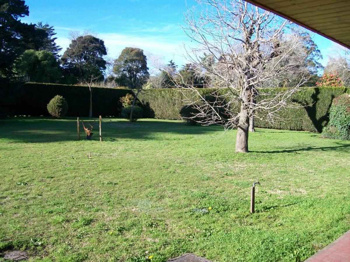 Studio in Mar del Plata, Argentina, Nr. 99248