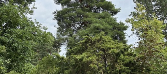 3 chambres Maison à Schmockwitz, Germany No. 263220 4