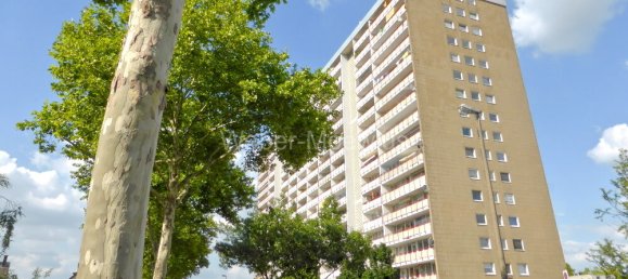 Студия в Рейн-Зиг, Германия № 264436 12